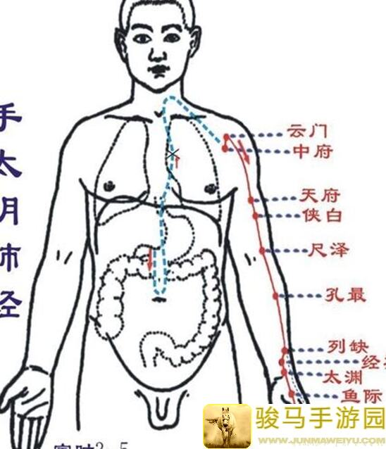 手把手教你五分钟掌握物华弥新器者馆藏系列：宿卫 曾侯乙编钟的使用技巧