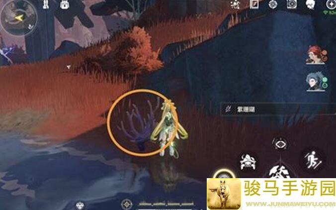 90%玩家不知道，鸣潮鸣潮紫珊瑚全收集大揭秘，教你轻松完成在哪？速刷指南曝光！