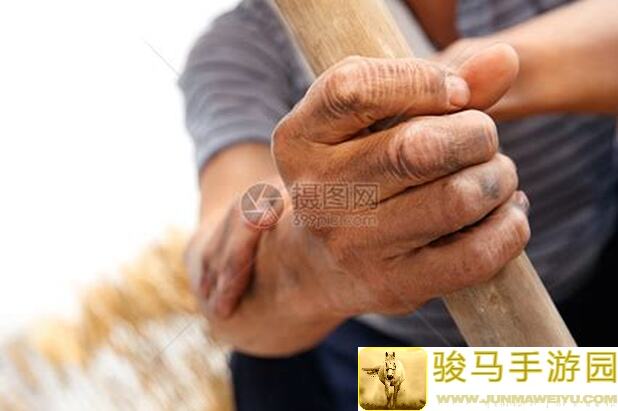 手把手教你三国志・战略版配将攻略：最适合做主将的他！