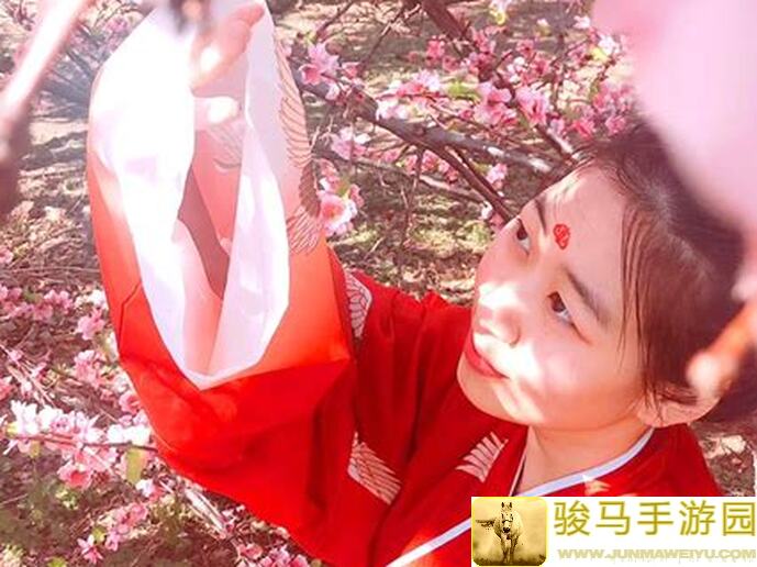 萌新小白看过来！桃花源记5大萌新成长绝密指南