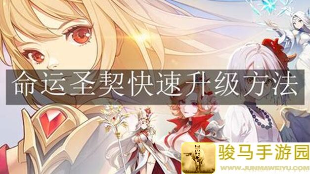 看完这篇最全抽卡攻略，新手也能秒懂命运圣契