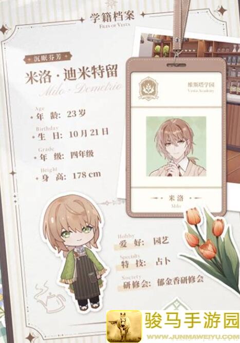 维斯塔餐桌秘籍：轻松掌握卡池出率与简单氪金指南