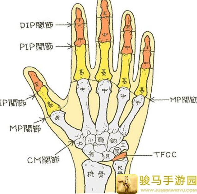 手把手教你轻松解锁！想不想修真仙书坊第二层秘境攻略