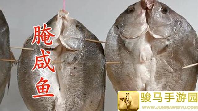 咸鱼之王：咸鱼翻身，咸主如何被我成功反叛？