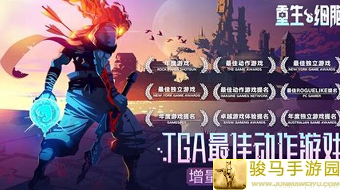 重生细胞绿色重弩流战力提升的秘密：解锁绿色重弩流配置全攻略！究竟如何秒变战神？