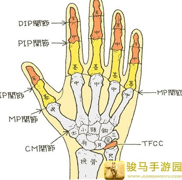 手把手教你轻松入门，红月战神高爆传3红月战神手游新手攻略大盘点！