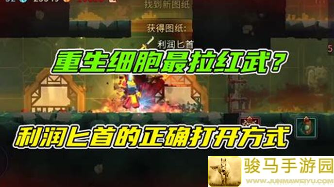 错过必后悔！重生细胞崩坏神庙注意事项全解析，助力你轻松通关